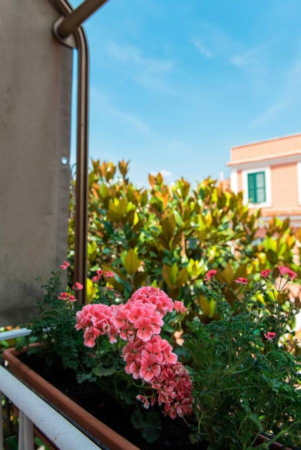 Apartment Miani *